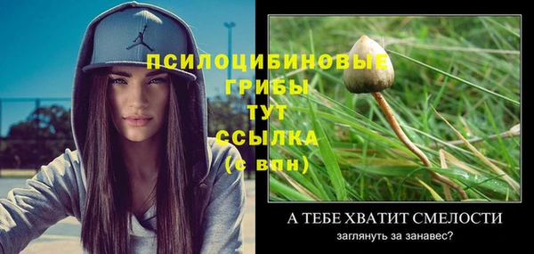 первитин Балахна