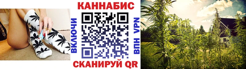 Бошки Шишки марихуана  hydra маркетплейс  Могоча  как найти закладки 